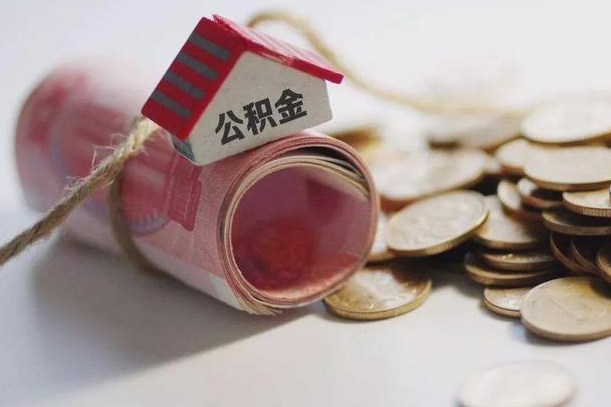 梨树县补充公积金（补充公积金怎么查）